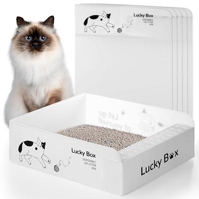 10 Pcs Small Litter Box for Kittens Plastic Portable Small Litter Pan Bunny  Cat Litter Box Litter Tray for Small Pet Guinea Pig - AliExpress