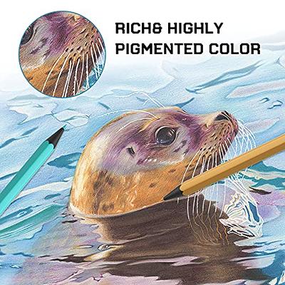 cyper top 48 Watercolor Pencils, Professional Colored Pencils for
