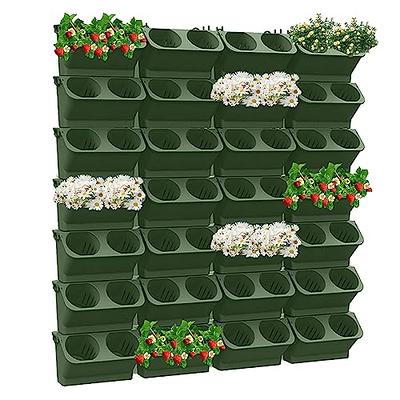 ShopLaLa Wooden Wall Planter - 2 Pack Wall Hanging Planters for Indoor  Plants Ladder Wall Mounted Natural Wood Holder for Flower Pots Vertical  Live