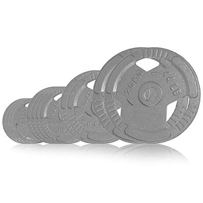 Synergee 1 inch Cast Iron Weight Plates, 160lb - Set