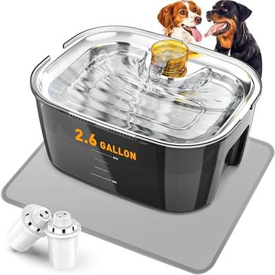 Heated Water Bowl, Heated Dog Bowl with Chew-Proof Cord, 85-Ounce