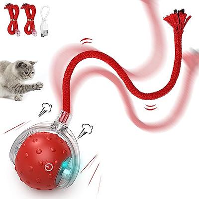 CATIT Design Senses Circuit Motion Activated Illuminated Balls Cat