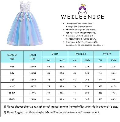 Weileenice Lace Flower Girl Dress Light Blue Big Girl Bridesmaid Wedding Party  Princess Pageant Holiday Elegant Ball Gown 9-10 Kids Bridesmaid Formal  Ombre Tulle Fancy Maxi Dresses Prom Tea Party Gown 