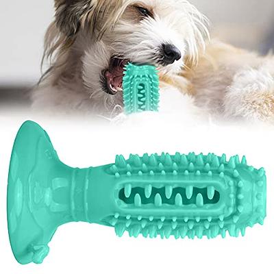 Pet Life 'Denta-Bone' TPR Treat Dispensing and Dental Cleaning Durable Dog Toy - Blue