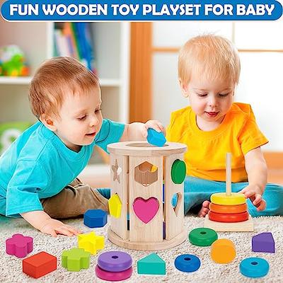 Toys for 1 2 3 Year Old Boys Girls, Wooden Developmental Toys for