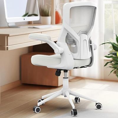 ZLchair Office Chair Ergonomic Desk Chair, Mesh Computer Chair