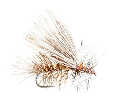 White River Fly Shop Prestige Complete Fly Outfit - 5 - 9' - Yahoo Shopping