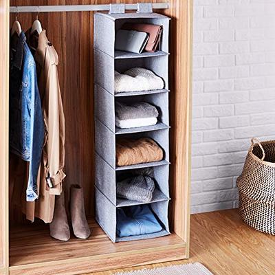   Basics 6-Tier Hanging Closet Shelf Organizer
