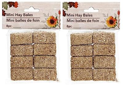 SSPT Autumn Mini Hay Bales Decoration Small Decorative Hay  Crafts/Dollhouse/Toy/Farm/Stables/Halloween/Table/Decor/Decoration/Decorative  Accents/Fall/Harvest - 2 x 1 Inches Total 16 PCs Bonus Rosett - Yahoo  Shopping