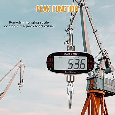 Bonvoisin Rechargeable Crane Scale 2000lb Hanging Scale Digital Weight with  Peak Hold and Remote Control LCD Display Industrial Heavy Duty Hang Scale  for Farms CE Certified (2200lb, Rechargeable) - Yahoo Shopping