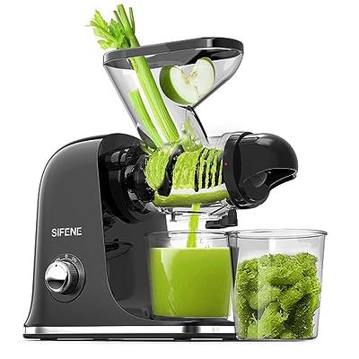 Compact GDOR Masticating Juicer with Powerful 60NM DC Motor, Low Noise,  Space-Saving Cold Press Juice Exrtractor Machines, Easy to Clean Slow  Juicer