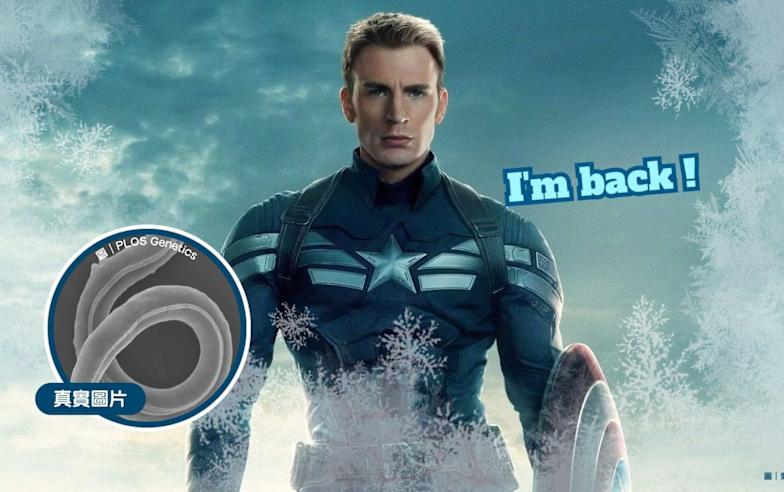 凍土休眠4萬6千年 科學家成功復活線蟲！