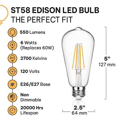 Bioluz LED T10 Dimmable LED Filament Bulb