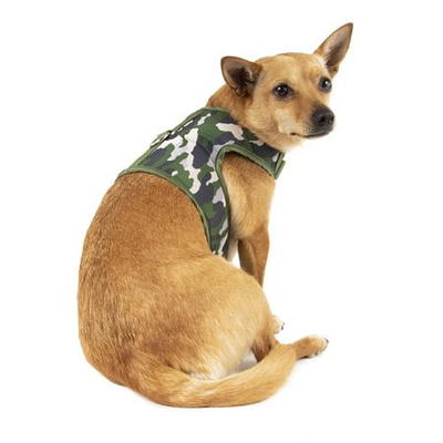 YOULY The Legend Camo Print Dog Collar, Small