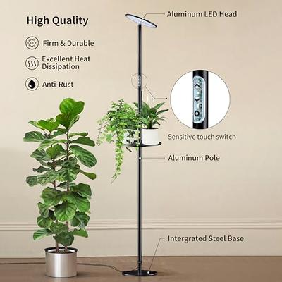 SANSI Grow Lights for Indoor Plants, Pot Clip LED Plant Light for Growing  Full Spectrum, Plant Growing Lamp with 4-Level Dimmable, Auto On Off 3 6 12