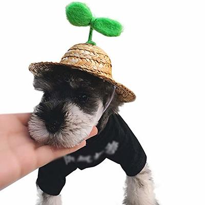 QWINEE Plaid Pattern Dog Hat with Ear Hole Round Brim Dog Puppy Cat Sun Hat  Bucket Hat Outdoor Sun Protection Pet Caps for Small Medium Cats Dogs