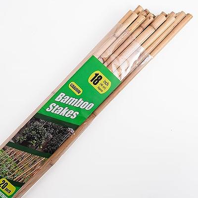 Bamboo Stakes