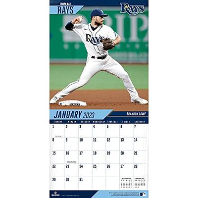 Tampa Bay Rays 2022 12x12 Team Wall Calendar (Other)