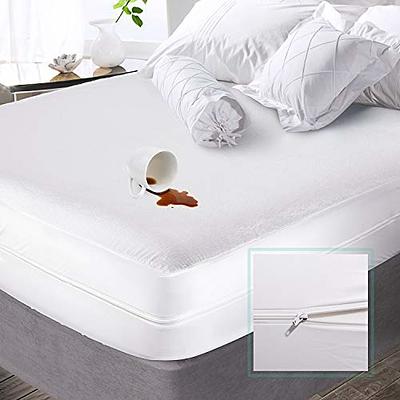 Becky Cameron Premium Twin Bed Bug and Spill Proof Zippered Microfiber Mattress  Protector IEH-BEDBUG-TWIN - The Home Depot