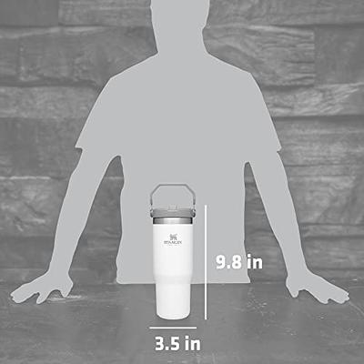 Stanley Ice Flow Water Bottle Tumbler with Straw Comparison I LOVE