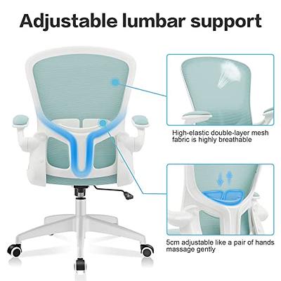 FelixKing Office Chair, Ergonomic Desk Chair with Adjustable