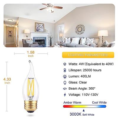 E14 LED Candelabra Bulb 40W Equivalent 4W Dimmable LED Candle Light Bulbs,  3000K Soft White 400 Lumen E14 Frosted Glass Decorative Bulb, 4 Pack