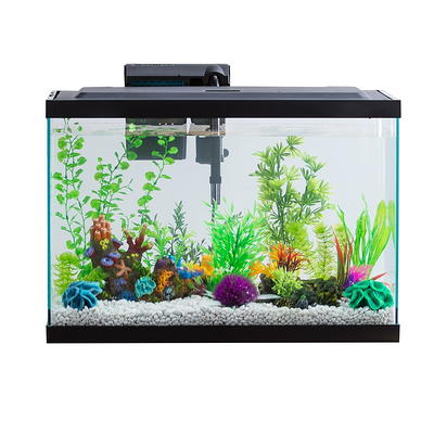 zondag Actuator duidelijk Aqua Culture 20-Gallon Glass Aquarium Starter Kit with LED (Online Only  Price) - Yahoo Shopping