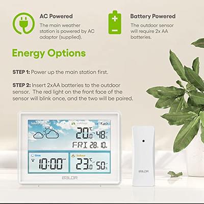 BALDR Wireless Weather & Rain Gauge with Remote Sensor - Weather