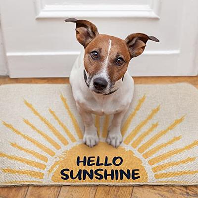 Welcome Sun Summer Doormat, Colorful Doormats