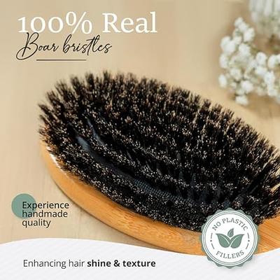 Belula 100% Boar Bristle Hair Brush Set. Soft Natural Bristles for Thin and  Fine Hair. Restore Shine And Texture. Wooden Comb, Travel Bag and Spa  Headband Included!