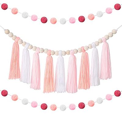 Syhood Tassel Garland Tassel Wall Hanging Decor Pastel Tassel Banner with  Wood Beads and 2 Pieces Colorful Pom Pom Balls Garlands for Christmas  Classroom Baby Shower Party Supplies (Vivid Colors) - Yahoo Shopping