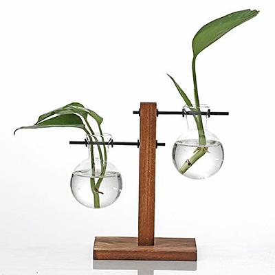 Kingbuy Hydroponic Glass Vase Vintage Desktop Plant Terrarium Planter Bulb  Vase Water Planting Propagation Vase Planters Hydroponics Plants with Retro  Wooden Stand Home Garden. - Yahoo Shopping