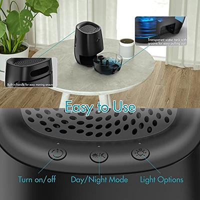 Geniani Portable Small Cool Mist Humidifiers - USB Desktop Humidifier for  Plants, Office, Car, Baby Room with Auto Shut-Off & Night Light - Quiet  Mini Humidifier 