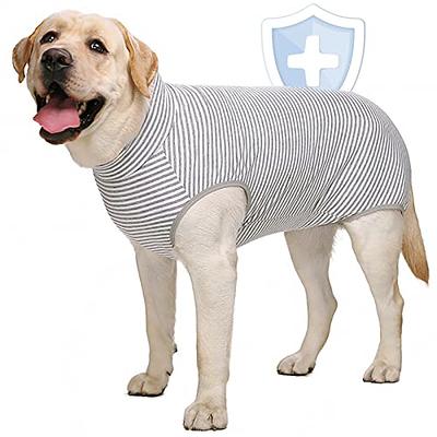 Dog Recovery Suit, Recovery Suit for Dogs After Surgery, Surgical Suit for  Male Female Dog Wounds Bandages Cone E-Collar Alternative Prevent Licking  Biting, Soft Fabric Onesie