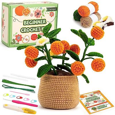  Lyrow 3 Pcs Christmas Crochet Set for Beginners Gnome Beginner  Crochet Set for Adults DIY Knitting Kit with Videos, Yarn, Crochet Hook  Accessories, Multicolor, Gift for Crochet Lovers