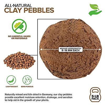 Stock Your Home 5Lbs LECA Balls Expanded Clay Pebbles Hydroponics Soil  Supplies for Indoor Garden Plants - Organic Aquaponics Grow Media Drainage  Layer Terrarium - Yahoo Shopping