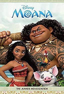 Disney Princess Moana's Adventure Outfit 