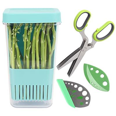 Herb Scissors +& Keepers