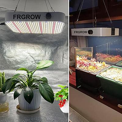 FRGROW Grow Lights for Indoor Plants Full Spectrum, Plant Lights for Indoor  Growing, 3000k/5000k/660nm Plant Grow Lamps, Clip on Plant Lamp with White