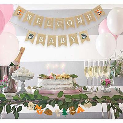 Baby Shower Birthday Party Decor