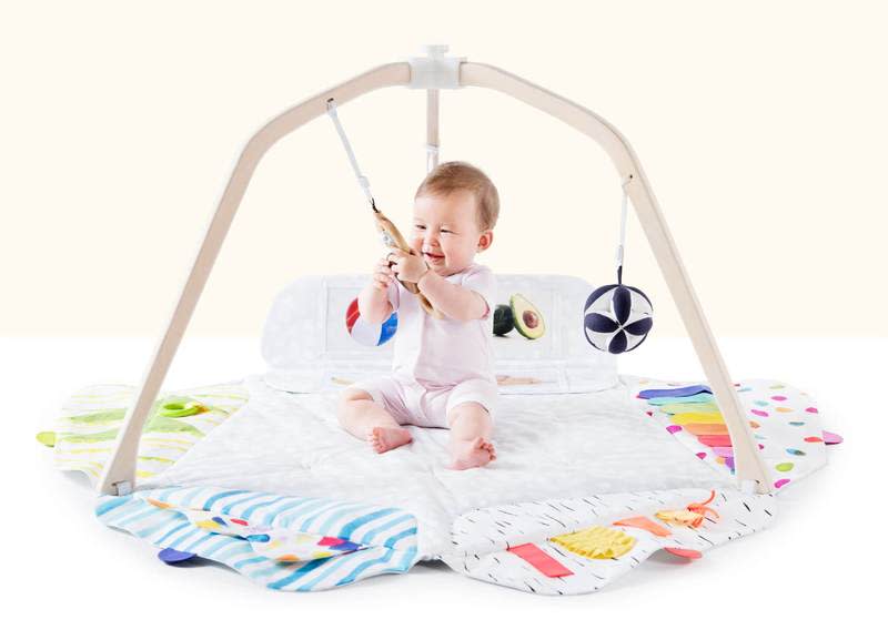 buy buy baby activity gym