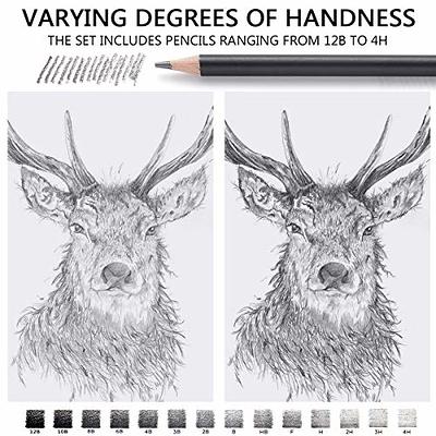 Graphite Drawing Pencils and Sketch Set (14-Piece Kit), 1B - 6H, Ideal for  Drawing Art, Sketching, Shading, Artist Pencils for Beginners & Pro Artists