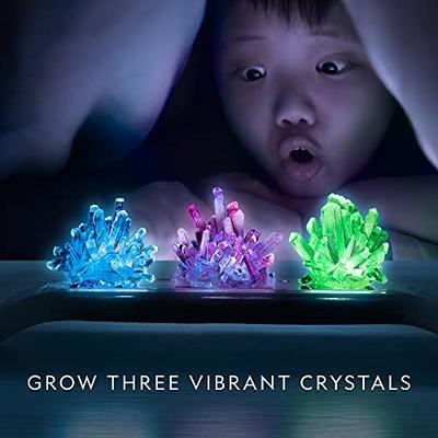 Crystal Growing Kit for Kids - 10 Crystals Science Experiment Kit + 2 Glow  in The Dark Crystals with DIY Paint Display Stand – Great Gift for Girls  and Boys Ages 6-12 