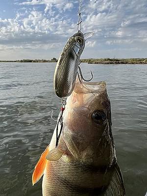 Lurefans CC60 Crankbaits for Bass Fishing, Slow Sinking, Silent