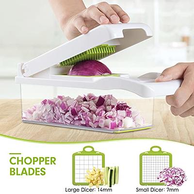 22 in 1 Vegetable Chopper with Container, TENBOK 11 Stainless Steel Blades  Vegetable Slicer, Onion Mincer Chopper, Cutter, Dicer