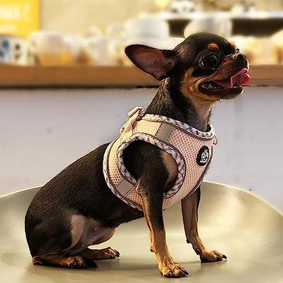 Small Dog Harness & Leash Set No Pull Reflective Dog Collar 