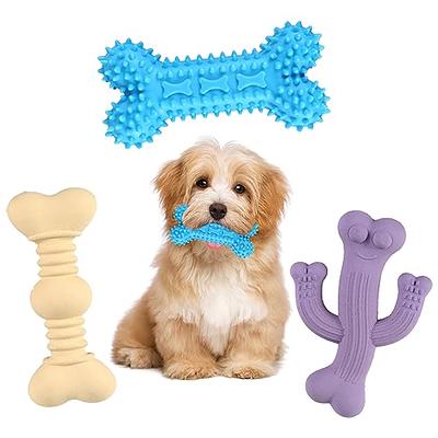 Zeaxuie Versatile Puppy Toys for Boredom and Stimulating - 8 Pack  Interactive Dog Toys with Squeaky and Treat Dispensing Puppy Chew Toys for  Teething