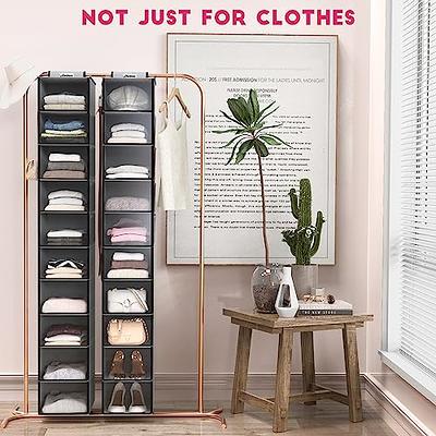 ZOBER Hanging Closet Organizer and Storage Shelves - 5-Shelf Wardrobe  Clothes Organizer for Dorm Room, Baby Nursery, Small Closet Storage - 12 x