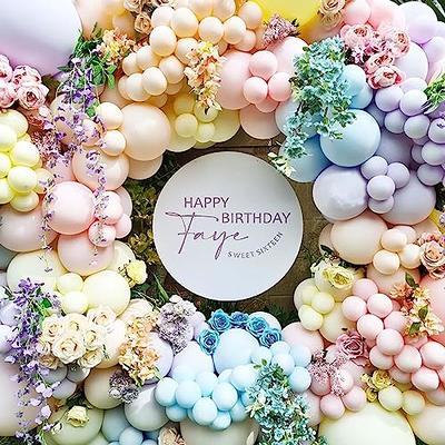 Pastel Rainbow Birthday Decorations for Girls, Happy Birthday Party Decorations, Macaron Pastel Daisly Flower Spring Balloons Garland Arch Kit