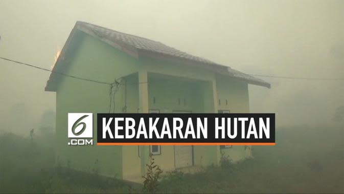 VIDEO: Kebakaran Lahan Meluas ke Permukiman